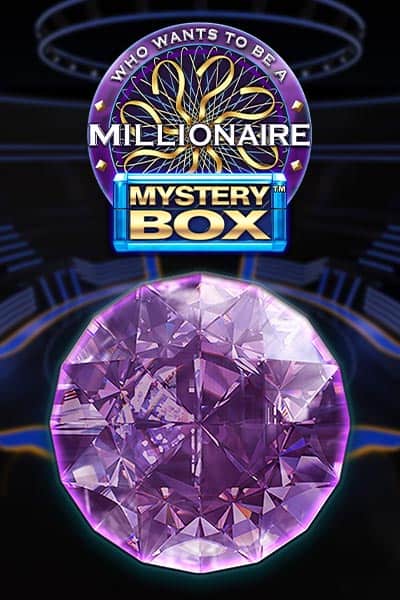 Millionaire Mystery Box